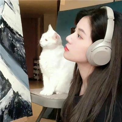 鸟,孤儿和愚人
